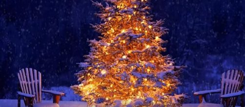 A Christmas tree on display. - [Fireplace 10 hours / YouTubs screencap]