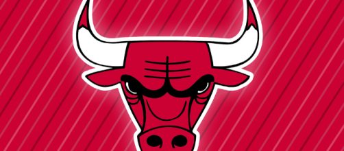 Chicago Bulls logo -- Michael Tipton/Flickr.