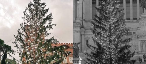 Christmas tree is Rome's plaza has died. Image Credit: Blasting News