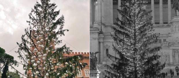 Christmas tree is Rome's plaza has died. Image Credit: Blasting News Christmas tree is Rome's plaza has died. Image Credit: Blasting News