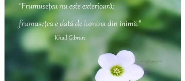 Citatul aparine marelui poet #Khalil Gibran Citatul aparine marelui poet #Khalil Gibran