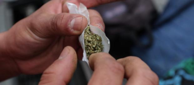 Preso por un churro de mariguana? Proponen 6 claves para no ... - animalpolitico.com Preso por un churro de mariguana? Proponen 6 claves para no ... - animalpolitico.com