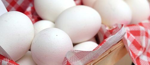 Egg, Boiled Eggs, Breakfast - {Photo via Pixabay]