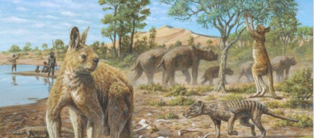 Diprotodon, el marsupial más grande de Australia pesaba tres toneladas.- australiance.com Diprotodon, el marsupial más grande de Australia pesaba tres toneladas.- australiance.com