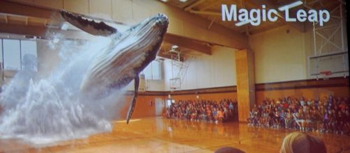 Magic Leap technology in action: Whale Hologram [Photo via Michael Coghlan, Flickr]