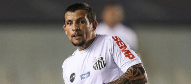 Jogador pode voltar ao clube que o revelou Jogador pode voltar ao clube que o revelou