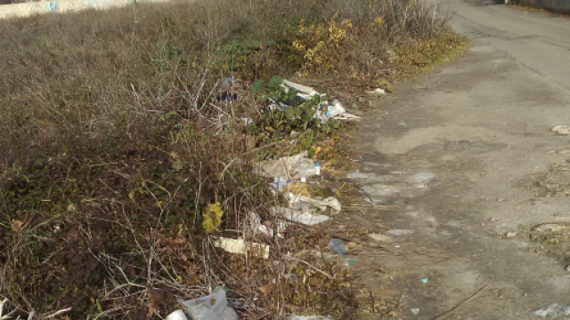 l'incuria cittadina in Via J. Della Quercia, a Lecce