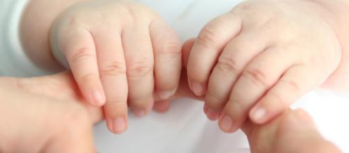 Le dolci mani di un piccolo bambino