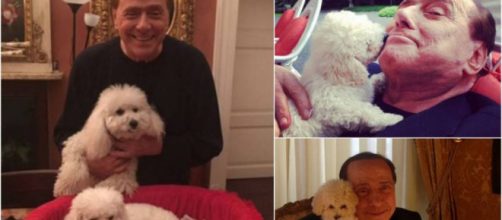 Berlusconi e le proposte elettorali di FI per la tutela degli animali domestici