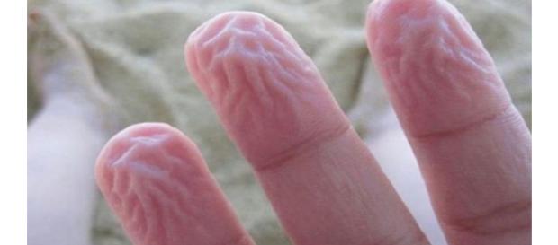 O corpo humano dá alguns sinais durante situações de risco e adversas O corpo humano dá alguns sinais durante situações de risco e adversas