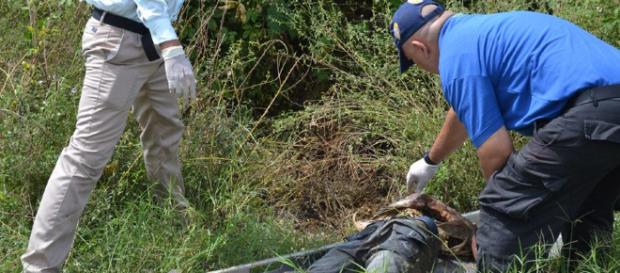 LaPatilla Hallaron cinco osamentas cerca del ferrocarril en ... - envenezuela1.com LaPatilla Hallaron cinco osamentas cerca del ferrocarril en ... - envenezuela1.com