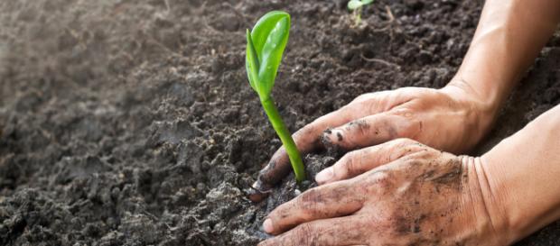 Manejo de suelos – Agriculturers.com | Red de Especialistas en ... - agriculturers.com Manejo de suelos – Agriculturers.com | Red de Especialistas en ... - agriculturers.com