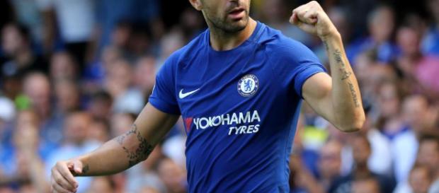 Cesc Fabregas is a steadying hand in Chelsea's dressing room and ... - thesun.co.uk Cesc Fabregas is a steadying hand in Chelsea's dressing room and ... - thesun.co.uk