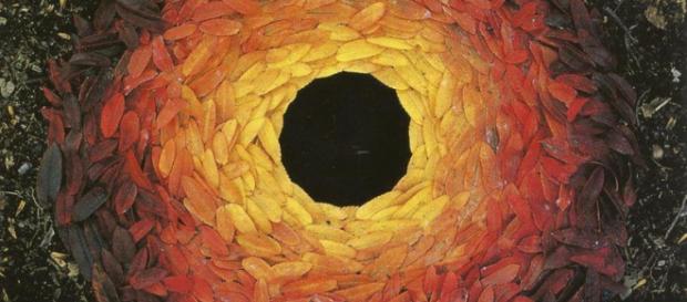 Feuilles de sorbier disposées autour d’un trou - Andy Goldsworthy (1987) Feuilles de sorbier disposées autour d’un trou - Andy Goldsworthy (1987)