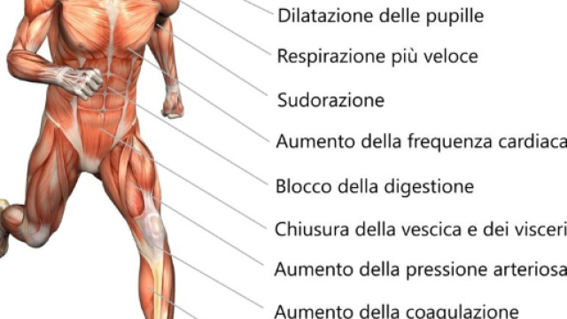 Fobia Sociale, come distinguerla dalla normale ansia sociale