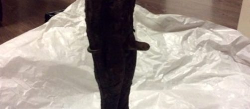 Statua fallica alla mostra sull'Egitto di Jesolo, la richiesta di - veneziatoday.it