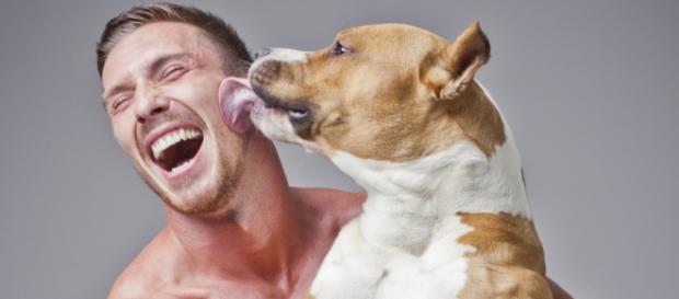 Investigación: ¿Tener un perro es bueno para tu salud? Investigación: ¿Tener un perro es bueno para tu salud?