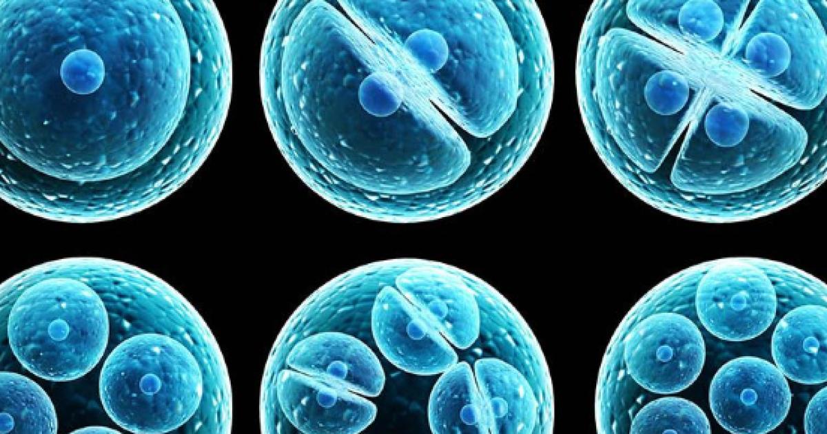 El descubrimiento del elixir de la vida El descubrimiento del elixir de la vida