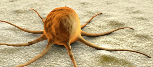 A tumor-suppressing gene can be harmful in some cancers | YaleNews - yale.edu