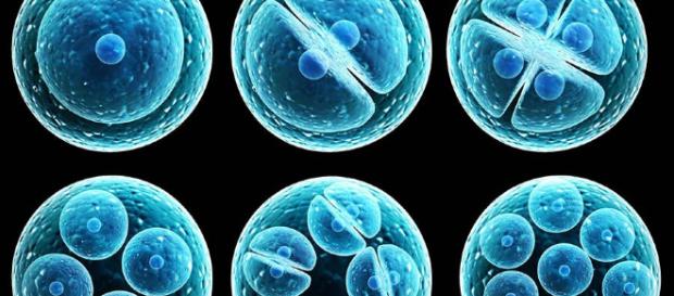 El descubrimiento del elixir de la vida El descubrimiento del elixir de la vida