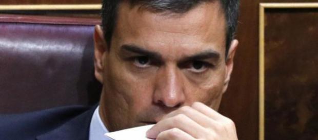 Pedro Sánchez, líder del partido socialista Pedro Sánchez, líder del partido socialista