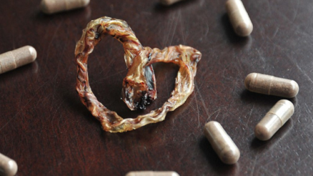 Mangiare placenta e gli effetti sulla salute delle donne