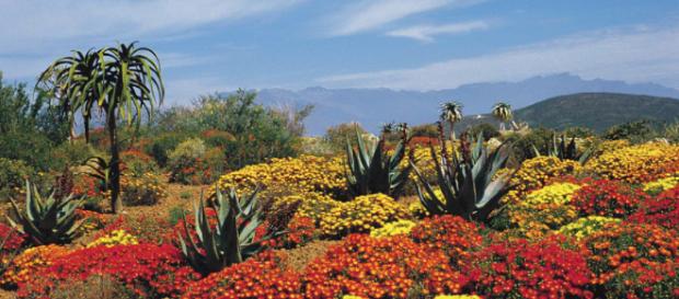 South Africa - the beauty of the Karoo - Image credit - South African Tourism | Flickr South Africa - the beauty of the Karoo - Image credit - South African Tourism | Flickr