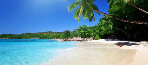 L'azienda italiana Lasersoft regala una vacanza ai Caraibi ai dipendenti