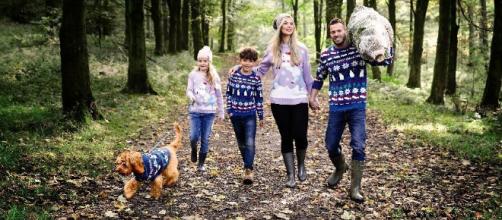 Aldi sells matching Christmas jumpers for adults, kids and dogs ... - warringtonguardian.co.uk