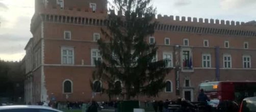 L'albero di Natale di Piazza Venezia, a Roma, al centro delle polemiche.