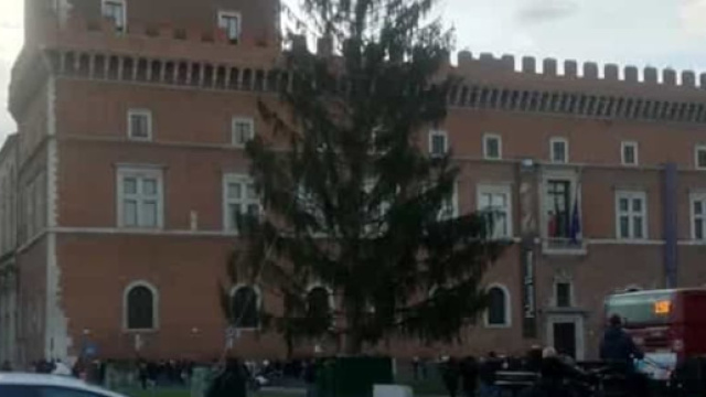 L'albero di Natale di Piazza Venezia, a Roma, al centro delle polemiche.