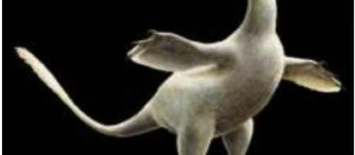 Nuovo tipo di dinosauro scoperto: un predatore anfibio