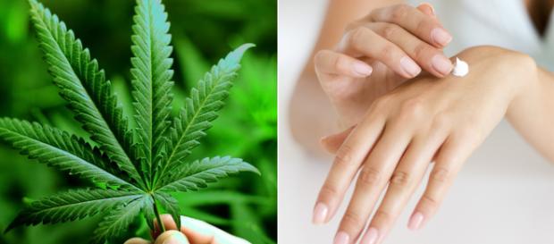 Cannabis oil based skincare. Image Credit: Blasting News Cannabis oil based skincare. Image Credit: Blasting News