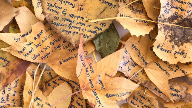 Ho scritto poesie sulle foglie dei parchi di New York" - cronacaverde.com