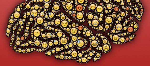 El tamaño de tu cerebro puede indicar cómo eres El tamaño de tu cerebro puede indicar cómo eres