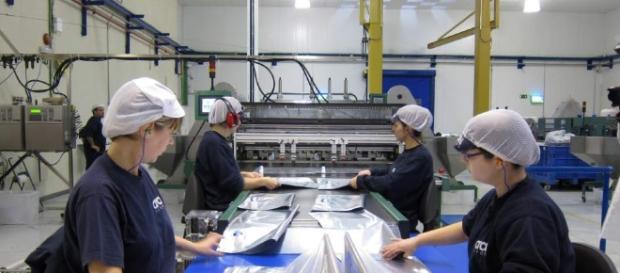 Empresas diversifican su producción. Empresas diversifican su producción.