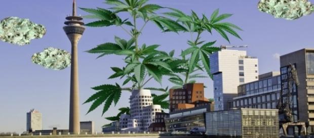 Kiffen in Düsseldorf: Legalisierung von Cannabis zu Testzwecken ... - highway-magazin.de Kiffen in Düsseldorf: Legalisierung von Cannabis zu Testzwecken ... - highway-magazin.de