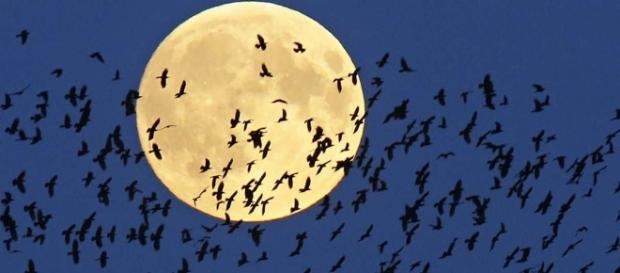 Triple treat: Eclipse, comet, full moon all coming Friday night / Photo from 'USA Today' - usatoday.com Triple treat: Eclipse, comet, full moon all coming Friday night / Photo from 'USA Today' - usatoday.com