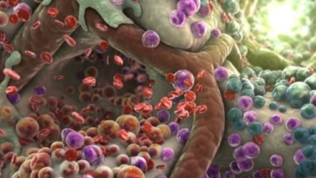 Scoperta la comunicazione tra i virus - NextMe