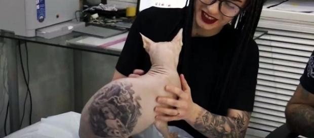 Funcionária do estúdio segurando o gato tatuado por Aleksandr (Foto: Divulgação) Funcionária do estúdio segurando o gato tatuado por Aleksandr (Foto: Divulgação)
