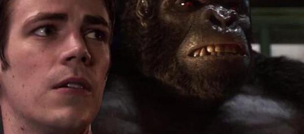 The Flash Saison 3 : Gorilla Grodd en tant que principal vilain de ... - mcm.fr The Flash Saison 3 : Gorilla Grodd en tant que principal vilain de ... - mcm.fr