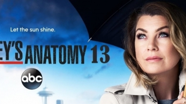 Grey's Anatomy 13, anticipazioni e inizio riprese della nuova ... - correttainformazione.it