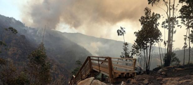 Passadiços de Arouca atingidos pelas chamas Passadiços de Arouca atingidos pelas chamas