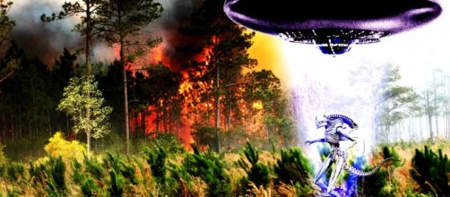 Alien Forest Fire by MixMatter on DeviantArt - deviantart.com
