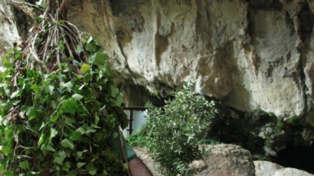 Carnevale 2017: le feste pi&ugrave; belle