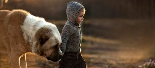 Potenza, bimbi trascurati dai genitori: escrementi sul grembiule