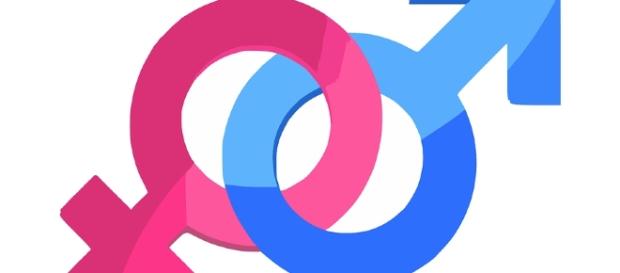 curiosidades estranhas sobre sexo e sexualidade curiosidades estranhas sobre sexo e sexualidade
