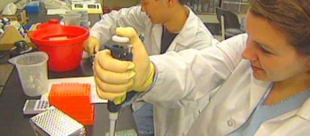 Estudos mostram que a cura da Aids pode estar próxima Estudos mostram que a cura da Aids pode estar próxima