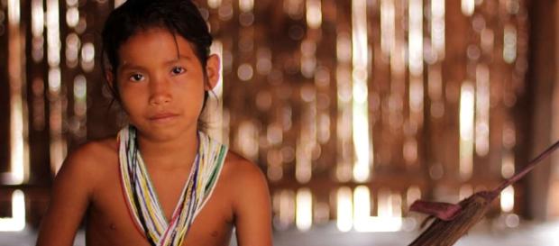 Perù: gli indigeni fanno causa al governo in difesa delle tribù Perù: gli indigeni fanno causa al governo in difesa delle tribù