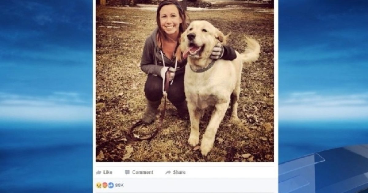 Golden Retriever dog dies on United Airlines flight